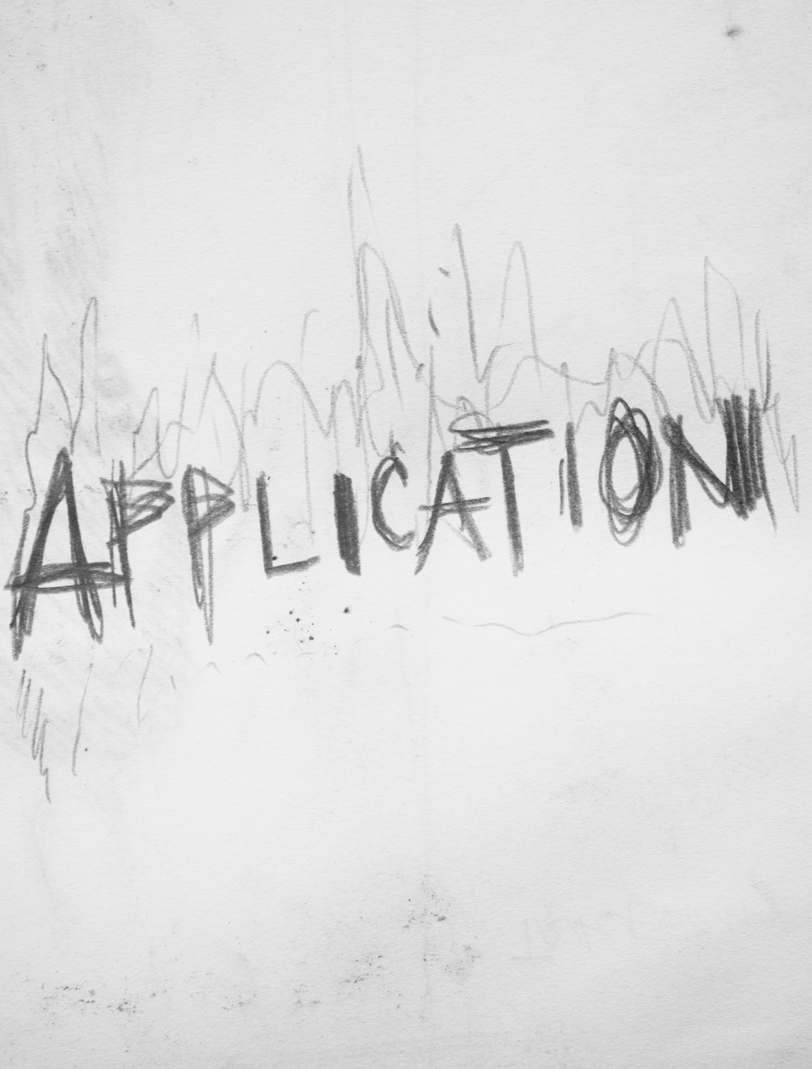 Application, 2019