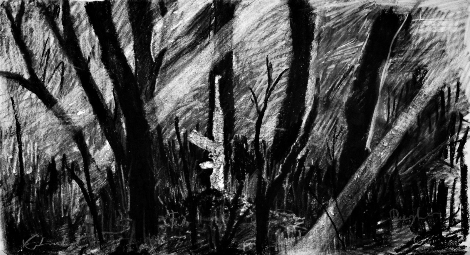 Lafuria, 2016